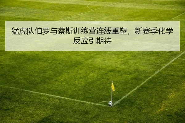 猛虎队伯罗与蔡斯训练营连线重塑，新赛季化学反应引期待